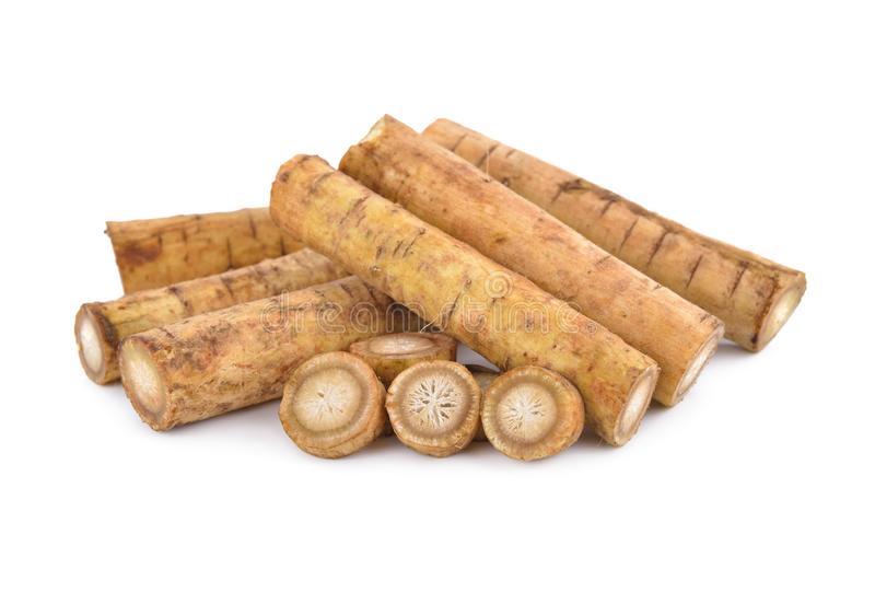 000111 BURDOCK (GOBO) FRESH