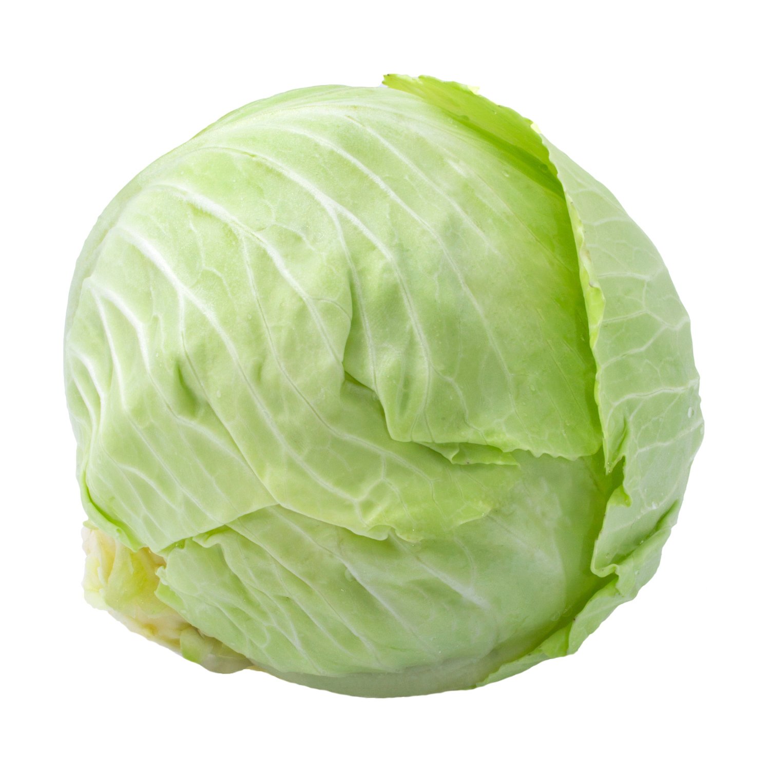 000115 CABBAGE HARD WHITE FRESH