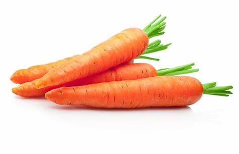 000117 CARROT TOPPED FRESH