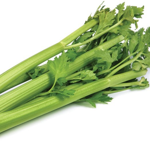 000119 CELERY TABLE FRESH