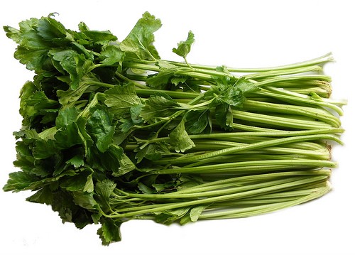 000120 CELERY JAPANESE (MITSUBA)