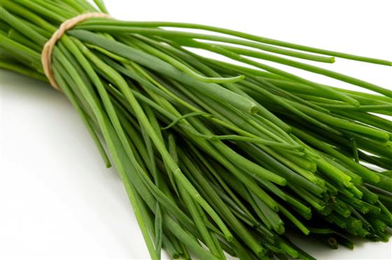 000122 CHIVES STEM FRESH