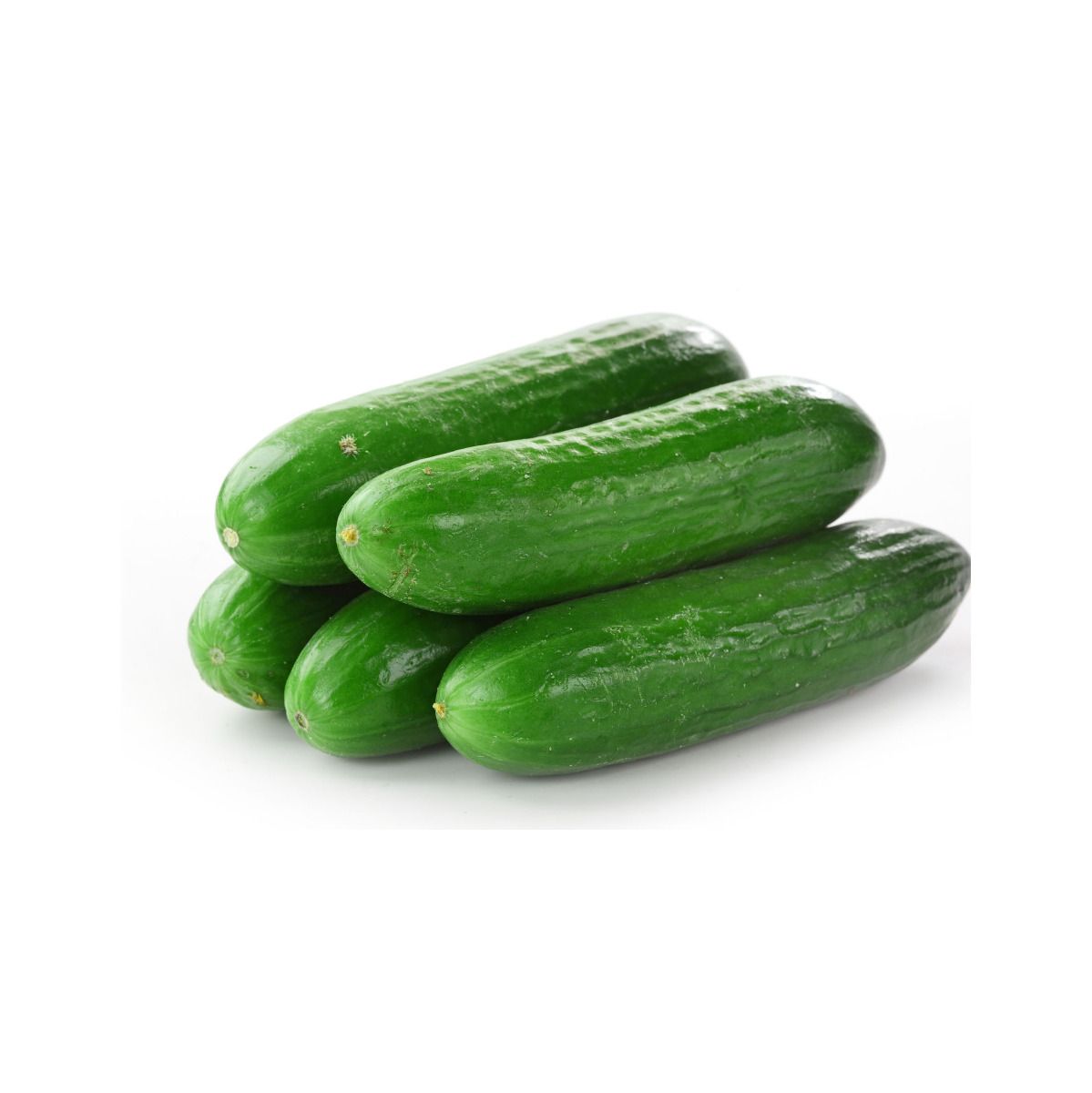 000124 CUCUMBER FRESH