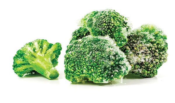 000315 BROCCOLI FROZEN