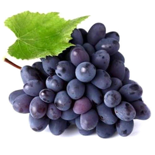 000526 GRAPE BLACK FRESH