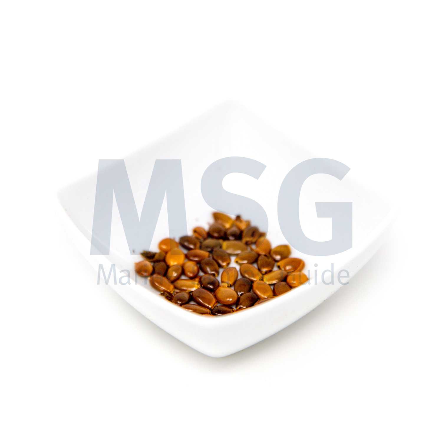 006403 ANISEED WHOLE