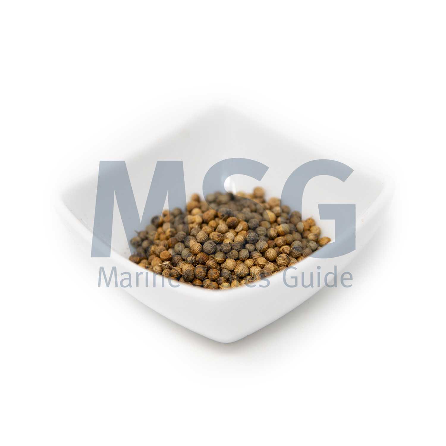006428 CORIANDER SEED WHOLE