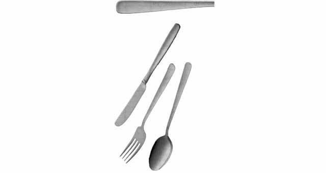 170210 FISH CARVING KNIFE 18-CR 8-NI STAINLESS STEEL STANDARD GRADE