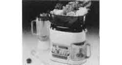 174572 JUICER BLENDER ELECTRIC 220V