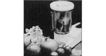 174578 LIQUIDISER FOR COOKING MIXER PORTABLE 7LTR