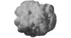 232523 OIL ABSORBENT PELLET IGNEOUS, ROCK NO.3 100LTR (5.5KG)
