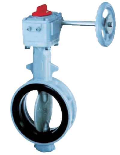 752214 BUTTERFLY VALVE WAFER TYPE, W/WORM GEAR 4