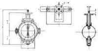 754674 VALVE BUTTERFLY CAST IRON DIN, TEFLON LINED #58 100MM