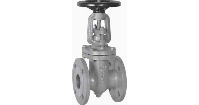 755643 GATE VALVE DIN CAST IRON, FLANGED PN10 #2406 65MM