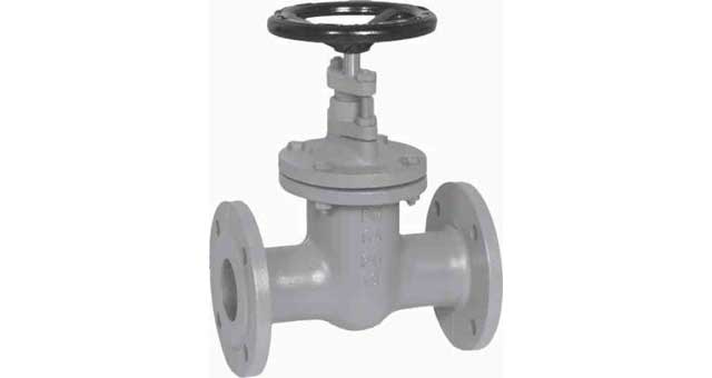 755655 GATE VALVE DIN CAST IRON, FLANGED PN10 #293 100MM