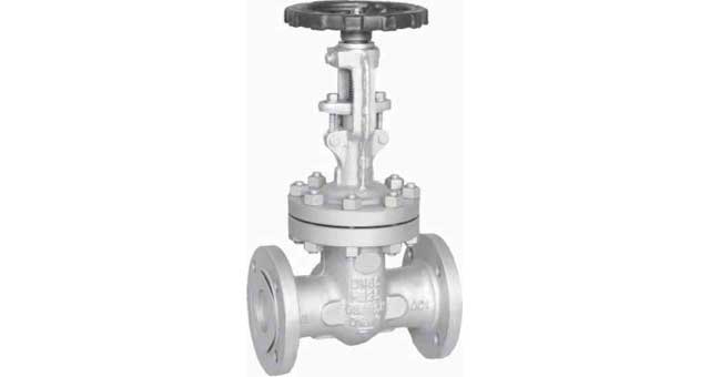 755715 GATE VALVE DIN CAST STEEL PN25, FLANGED #3825 DN 150
