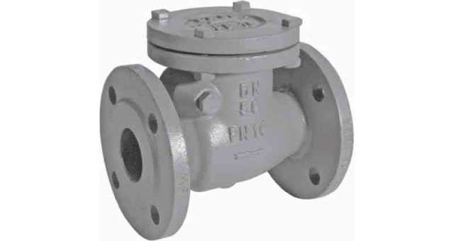 755909 CHECK VALVE DIN C/IRON FLANGED, SWING TYPE PN10 #83BR 250MM