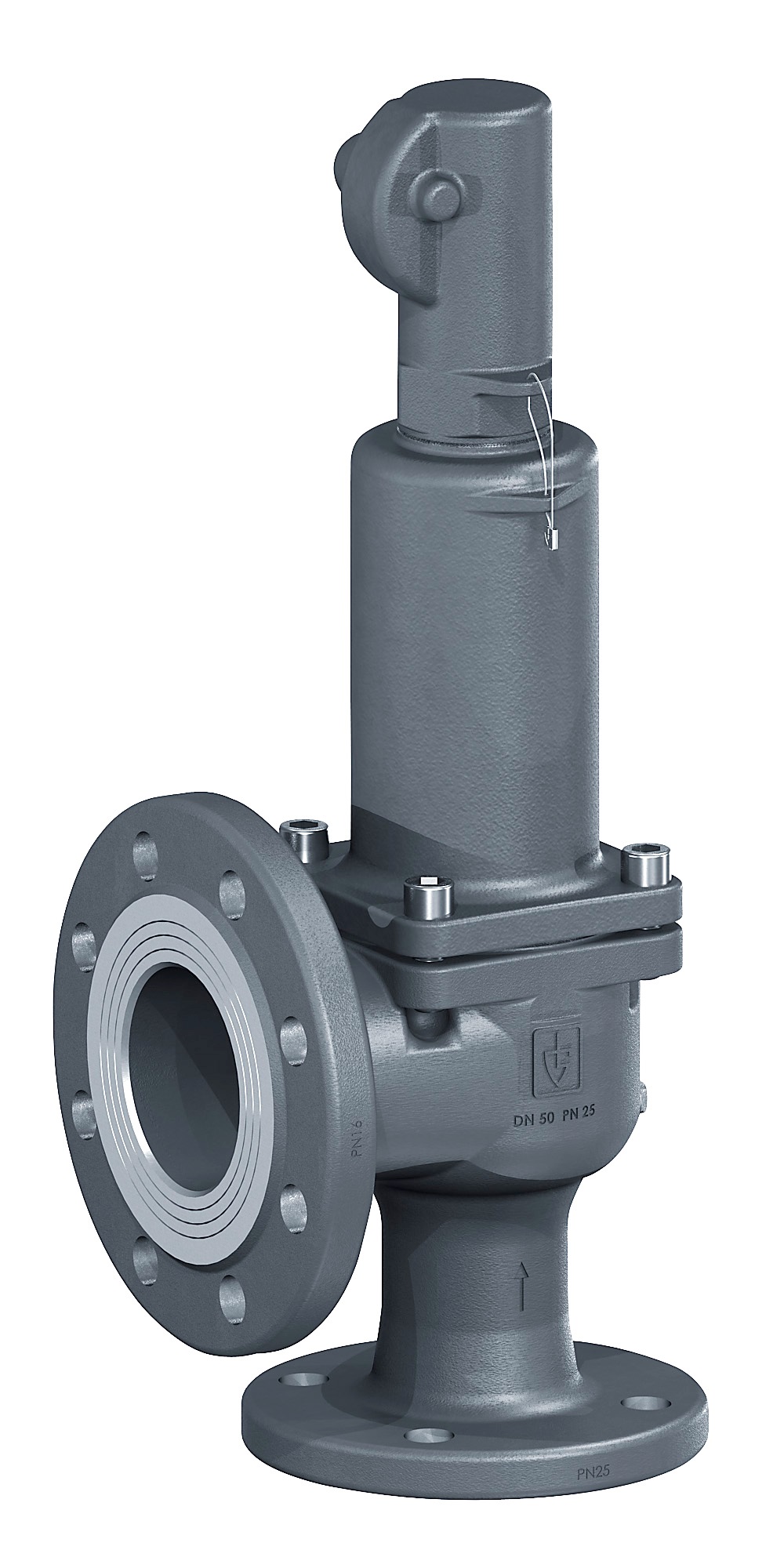 756278 VALVE SAFETY C-IRON DIN352BGFL, W/BELLOW G/T W/LVR PN40 DN50