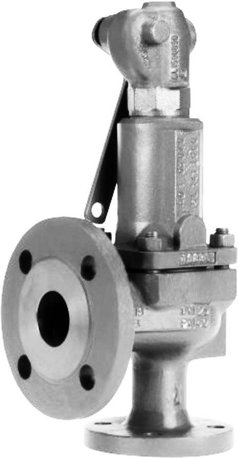 757056 SAFETY VALVE SPRING-LOADED DIN, CAST STEEL ANGLE #567 DN80